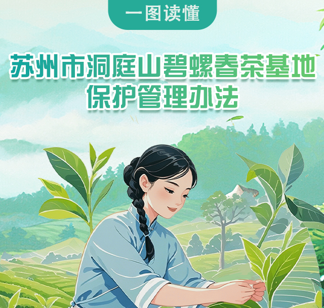 圖解：《蘇州市洞庭山碧螺春茶基地保護管理辦法》
