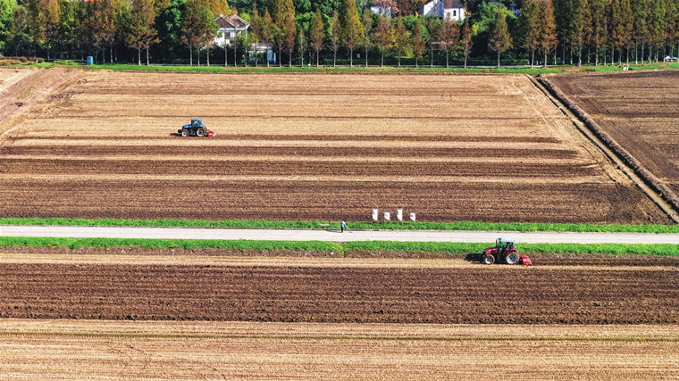 昆山天福濕地公園開展水稻收割后農(nóng)田耕整作業(yè) 助力生態(tài)系統(tǒng)平衡