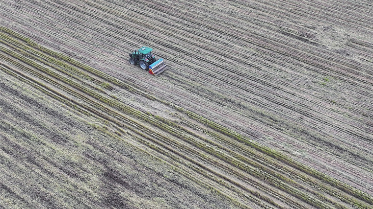立冬農忙時 新套村農民搶播冬小麥